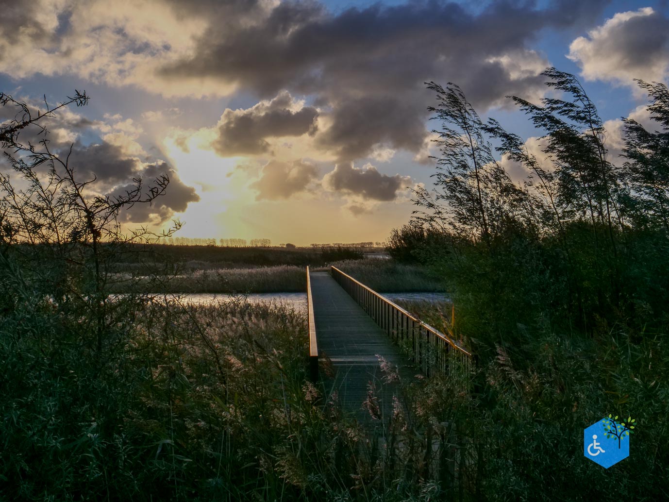 Breskens_Waterdunen_24-10-2025-053