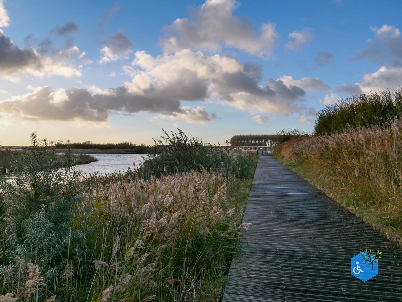 Breskens_Waterdunen_24-10-2025-060