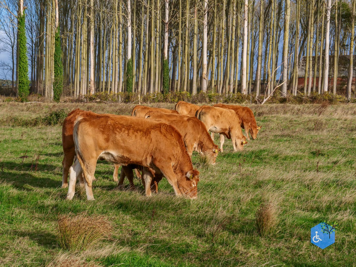 Breskens_Waterdunen_24-10-2025-097