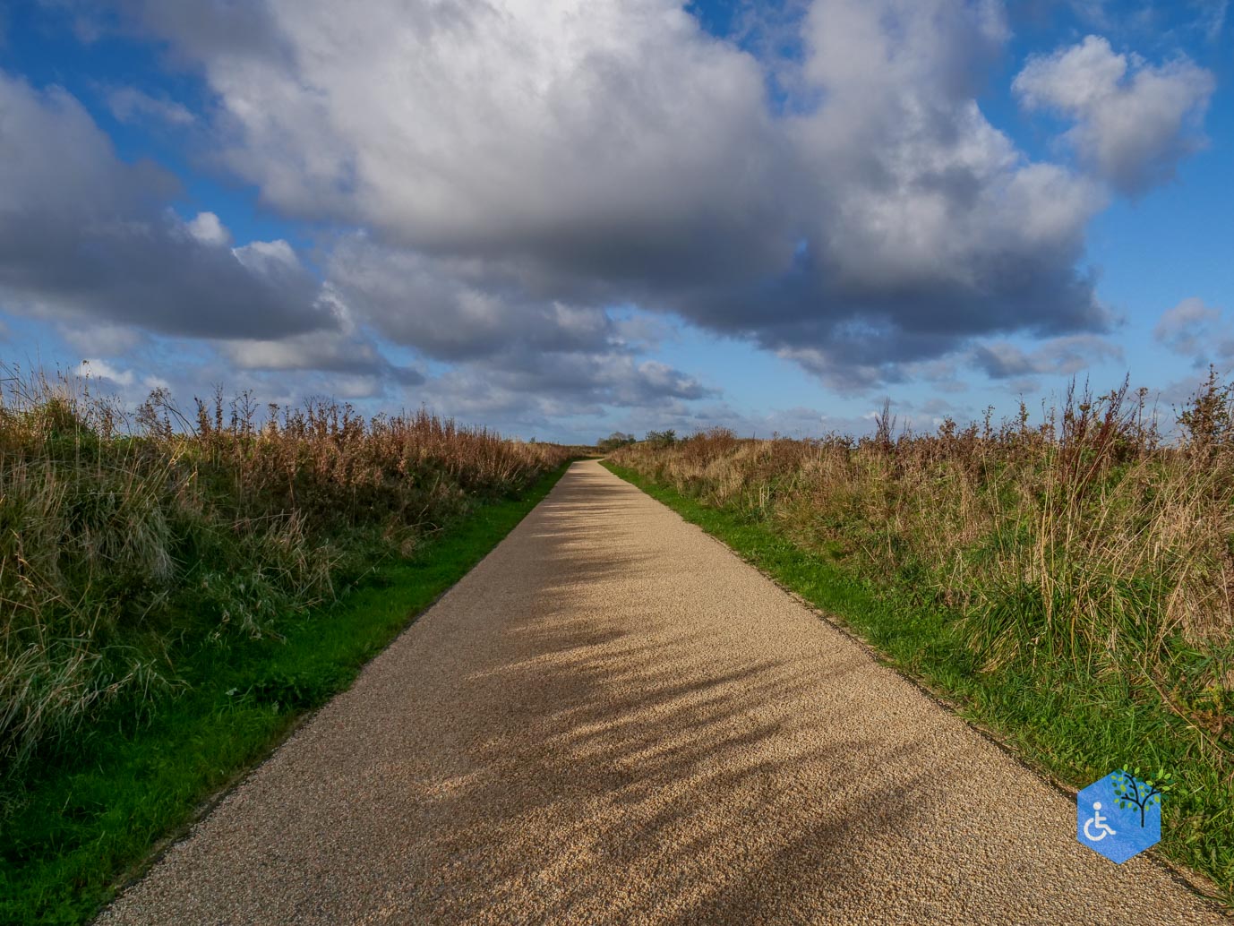 Breskens_Waterdunen_24-10-2025-099