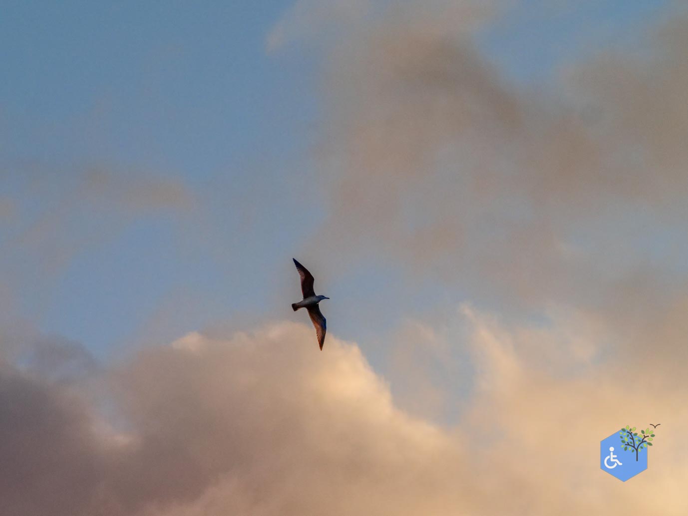 Breskens_Waterdunen_24-10-2025-139