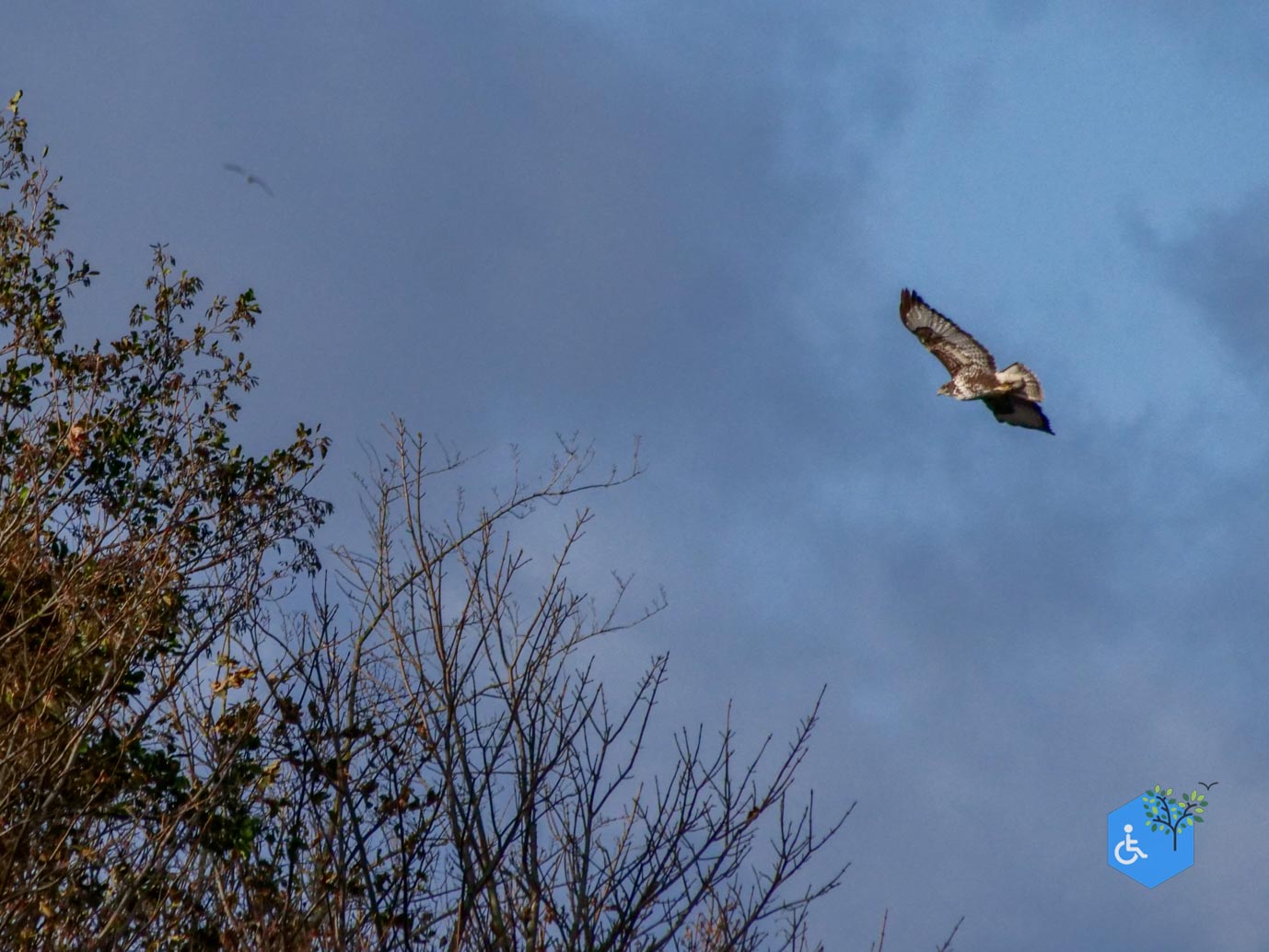 Breskens_Waterdunen_24-10-2025-163