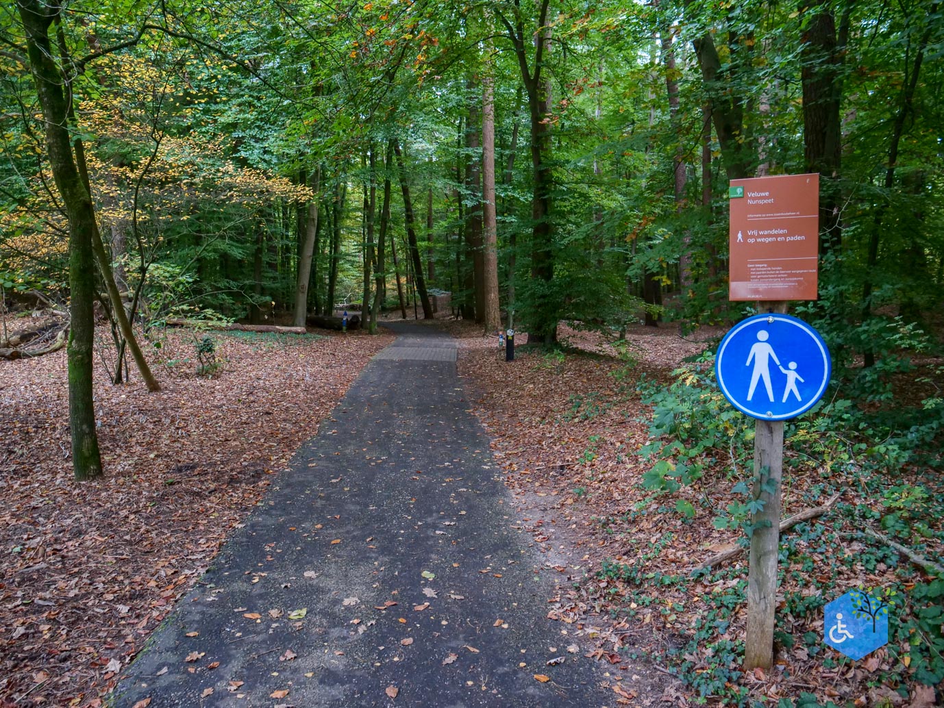 Nunspeet_Rolstoelpad_11-10-2025-07