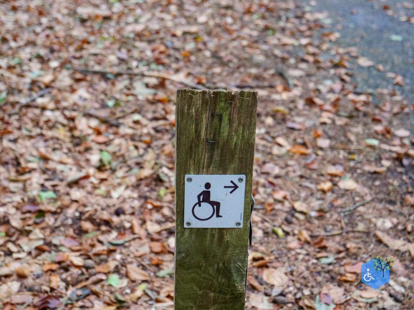 Nunspeet_Rolstoelpad_11-10-2025-08