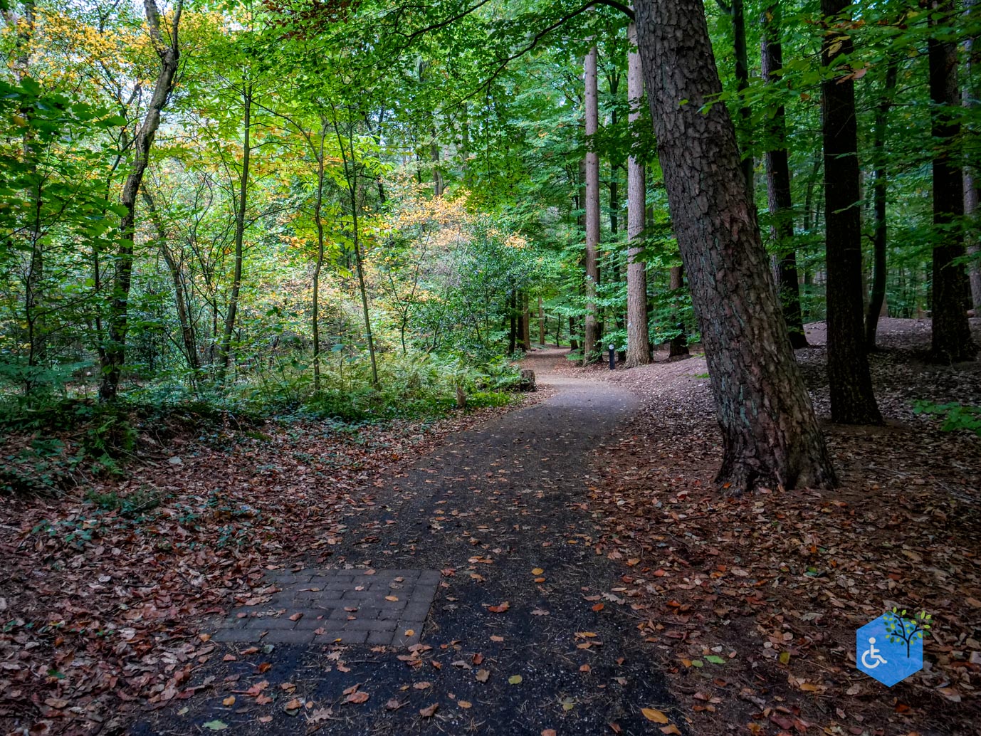 Nunspeet_Rolstoelpad_11-10-2025-12