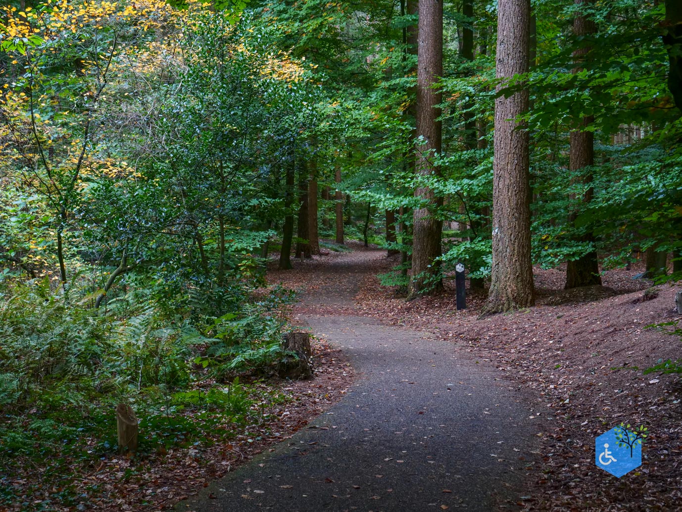 Nunspeet_Rolstoelpad_11-10-2025-13