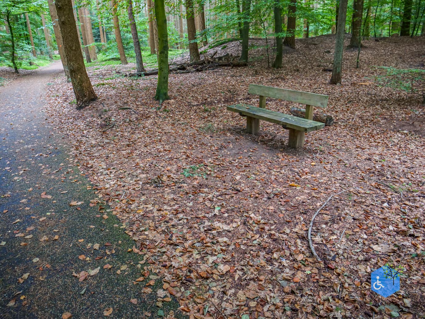 Nunspeet_Rolstoelpad_11-10-2025-15