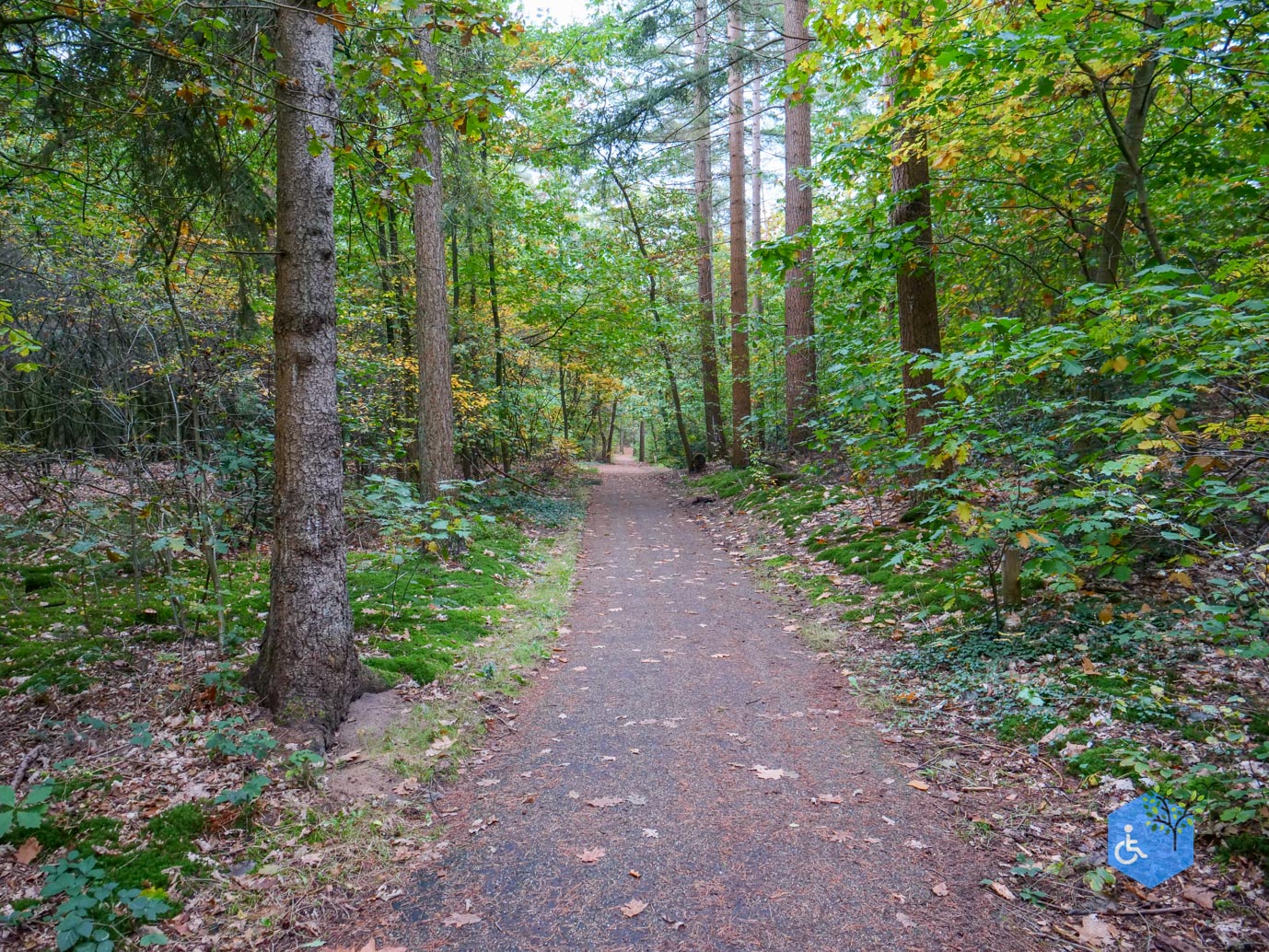 Nunspeet_Rolstoelpad_11-10-2025-17