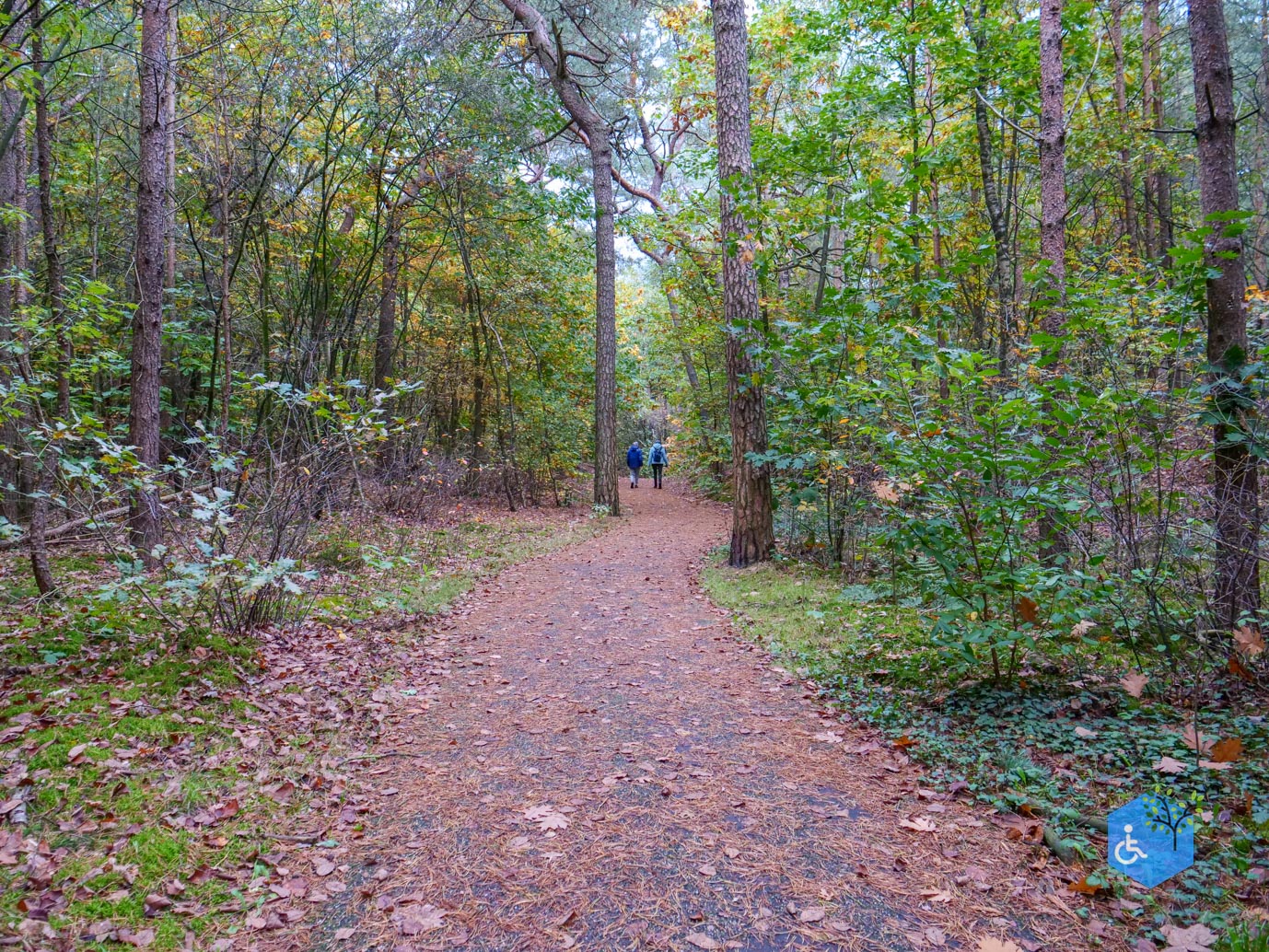 Nunspeet_Rolstoelpad_11-10-2025-18