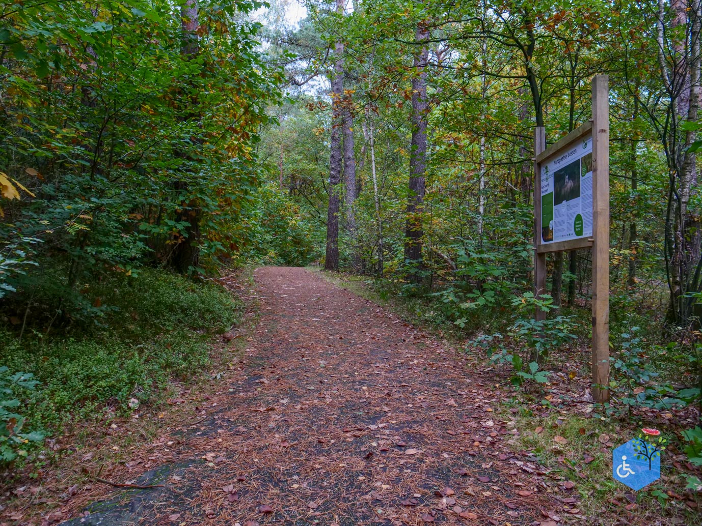 Nunspeet_Rolstoelpad_11-10-2025-19