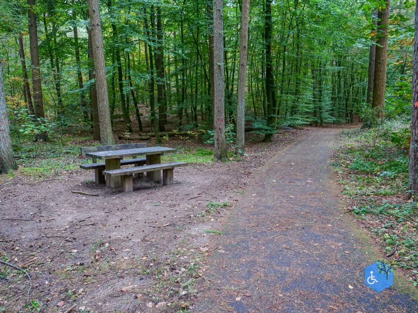 Nunspeet_Rolstoelpad_11-10-2025-24