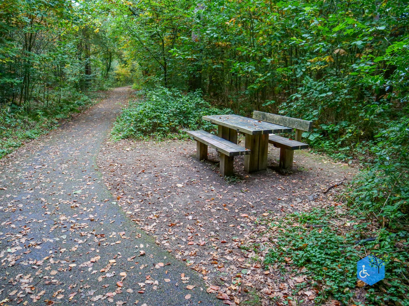 Nunspeet_Rolstoelpad_11-10-2025-28