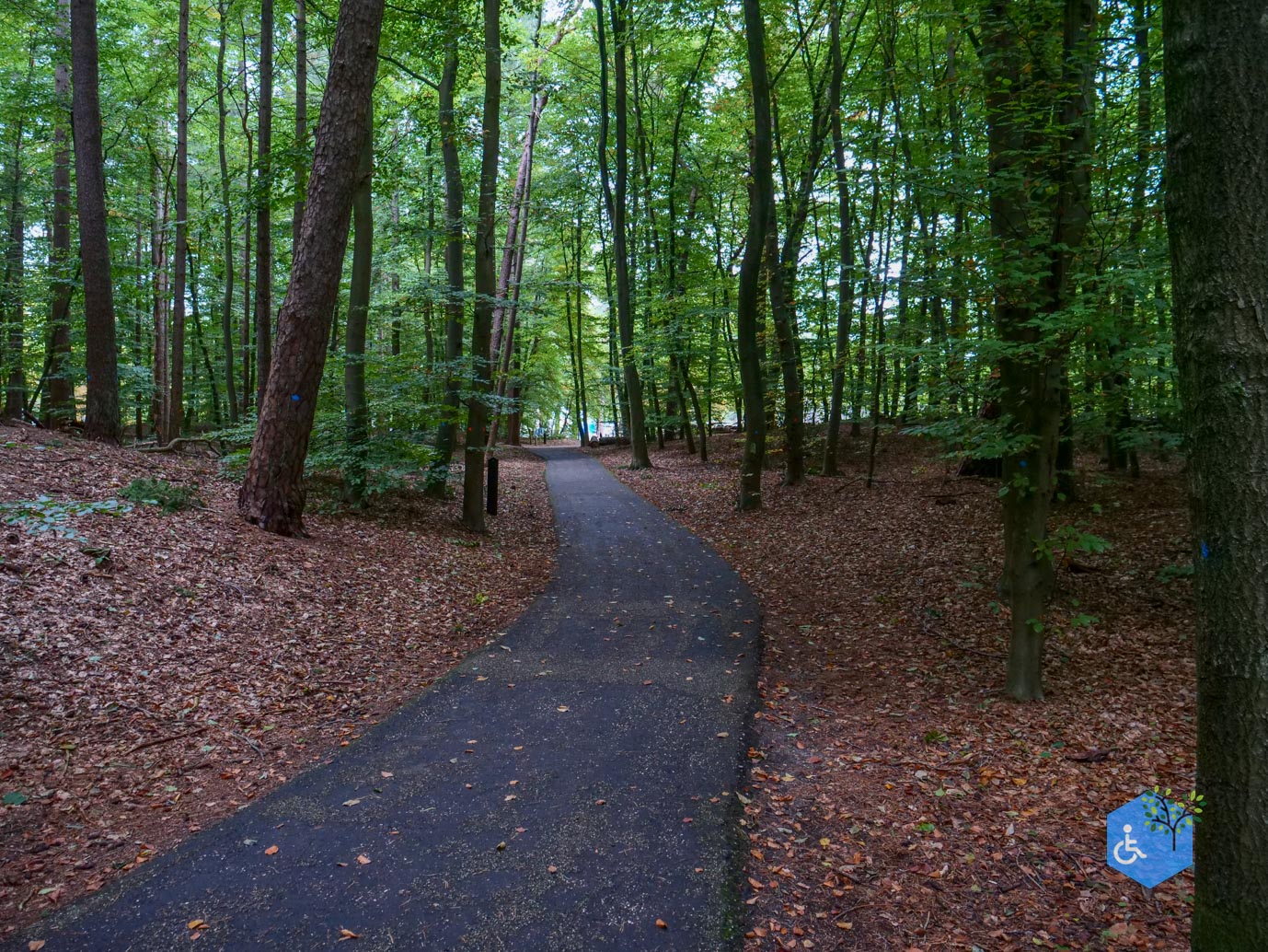 Nunspeet_Rolstoelpad_11-10-2025-29