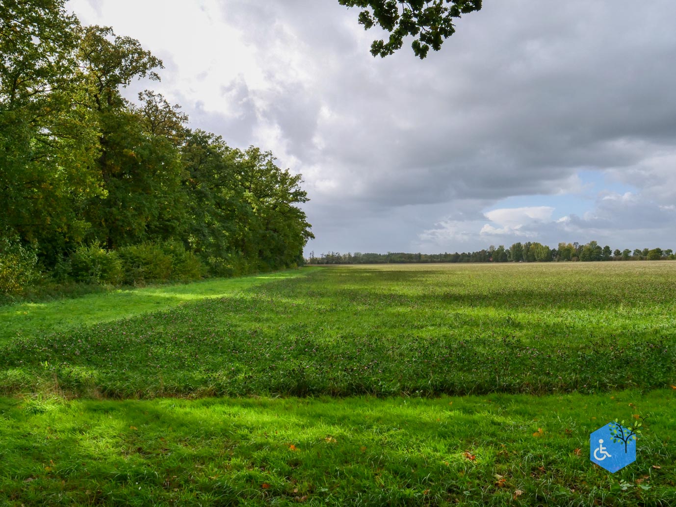 Zoelen_Landgoed_Soelen_04-10-2025-06