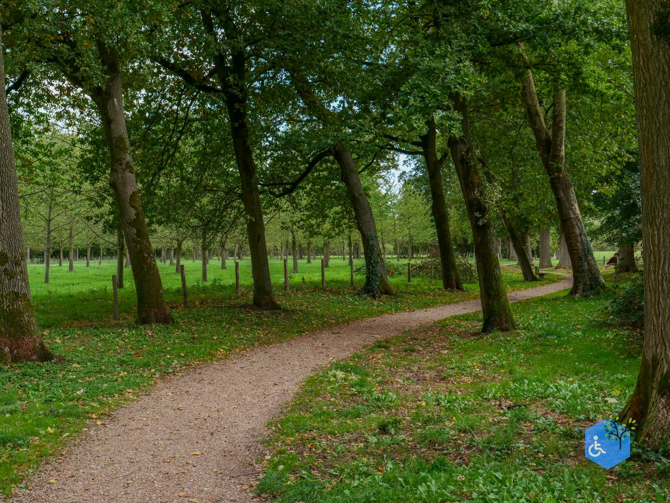 Zoelen_Landgoed_Soelen_04-10-2025-07