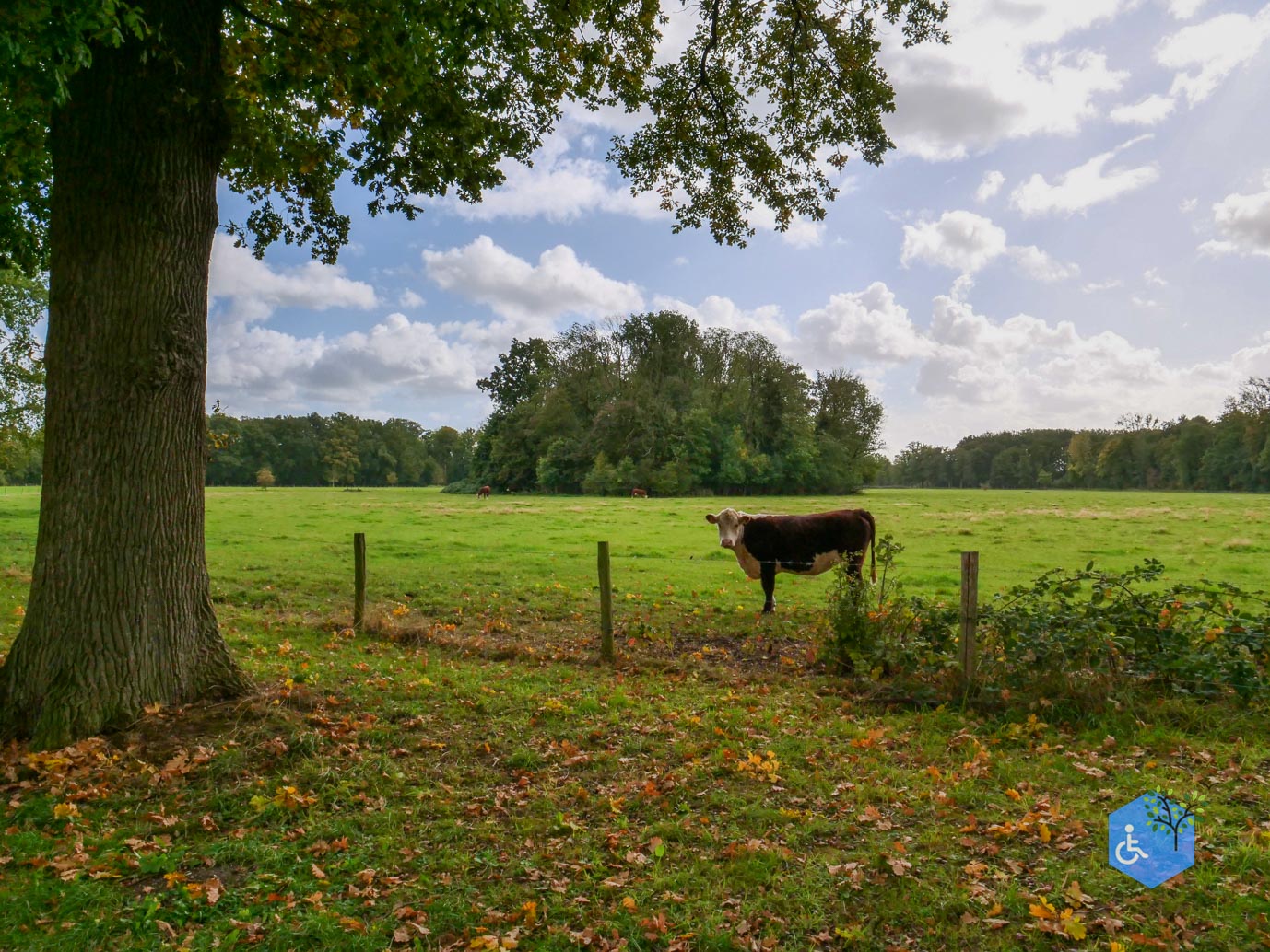 Zoelen_Landgoed_Soelen_04-10-2025-10