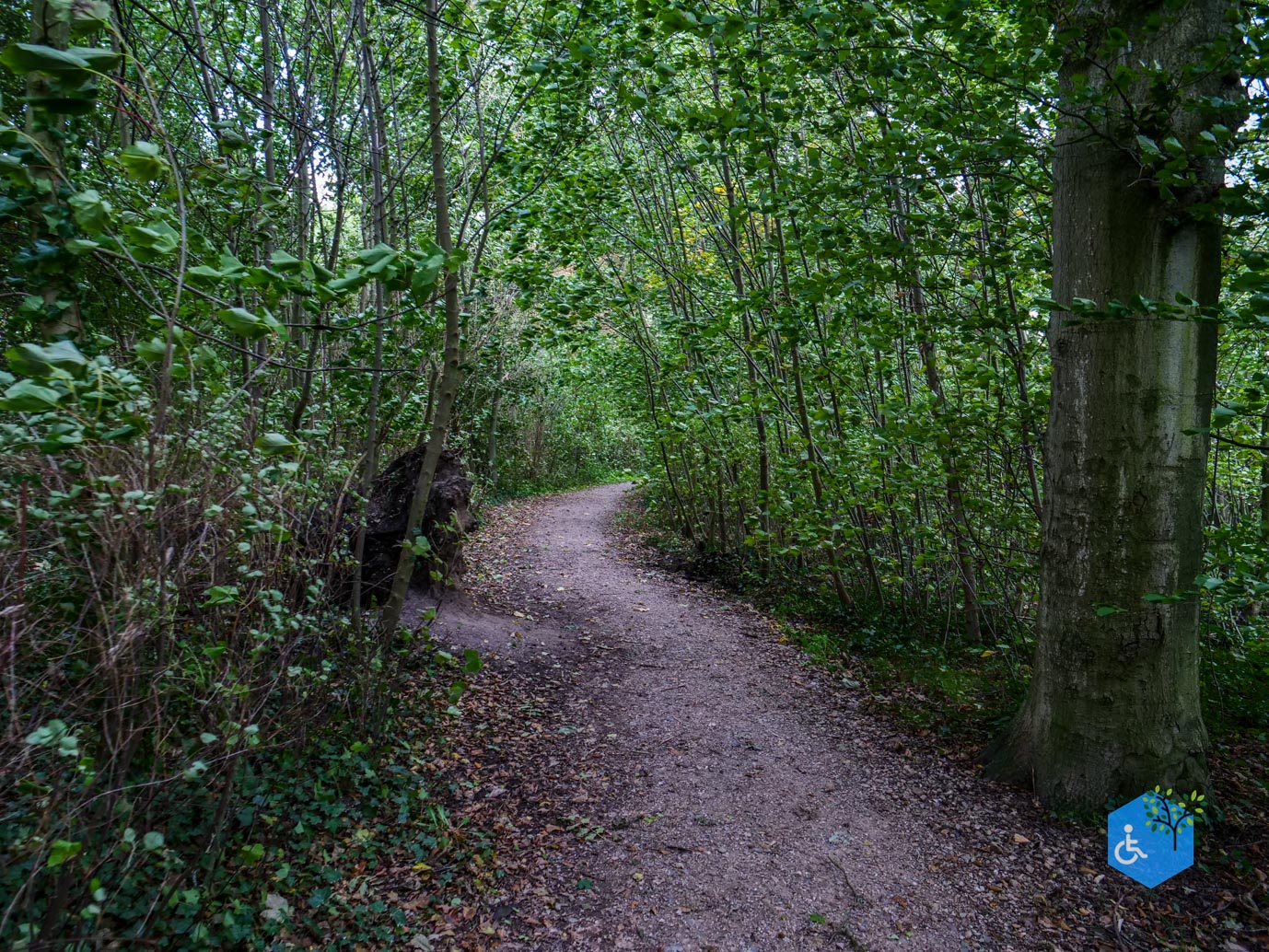 Zoelen_Landgoed_Soelen_04-10-2025-13