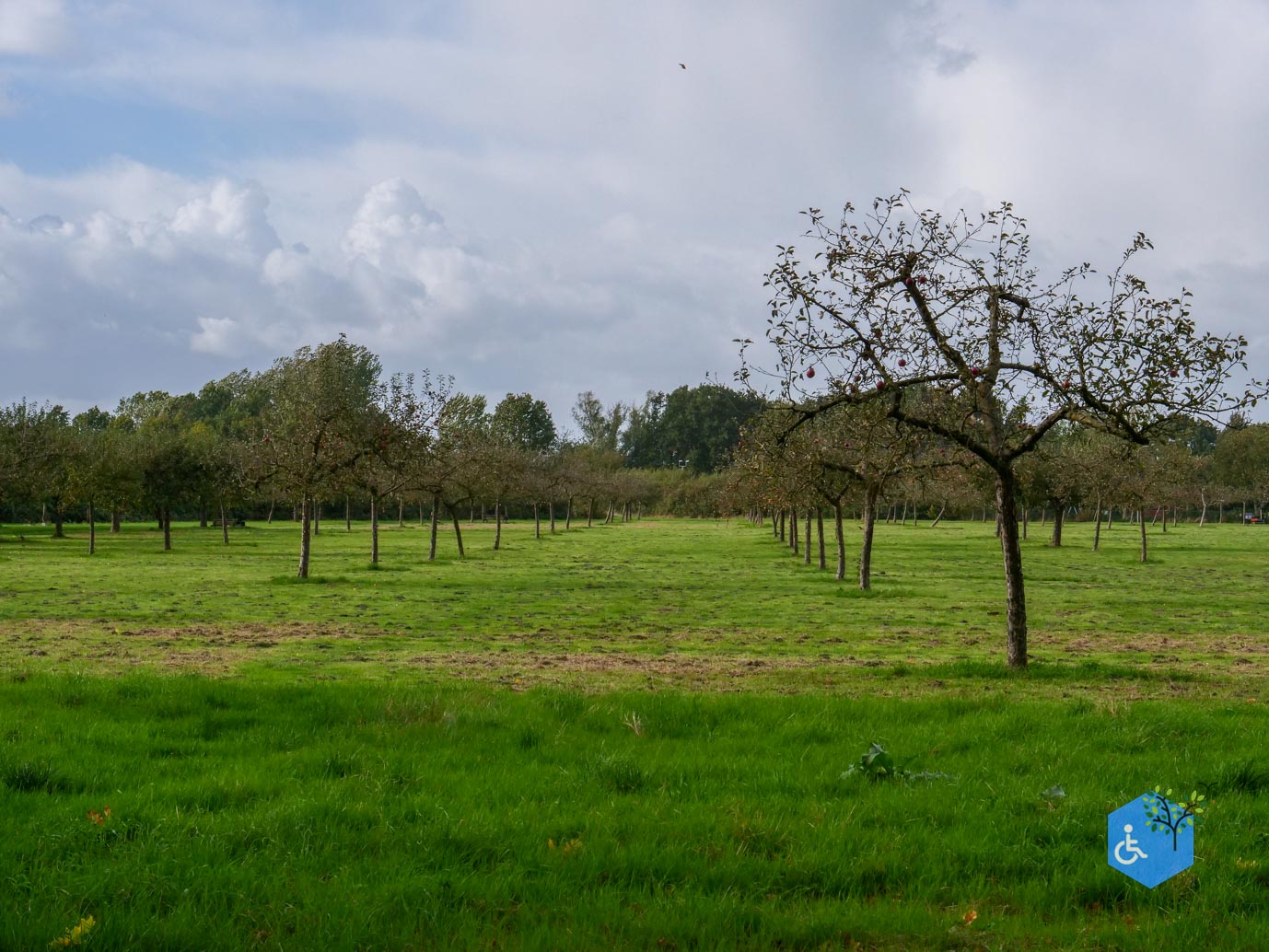 Zoelen_Landgoed_Soelen_04-10-2025-28