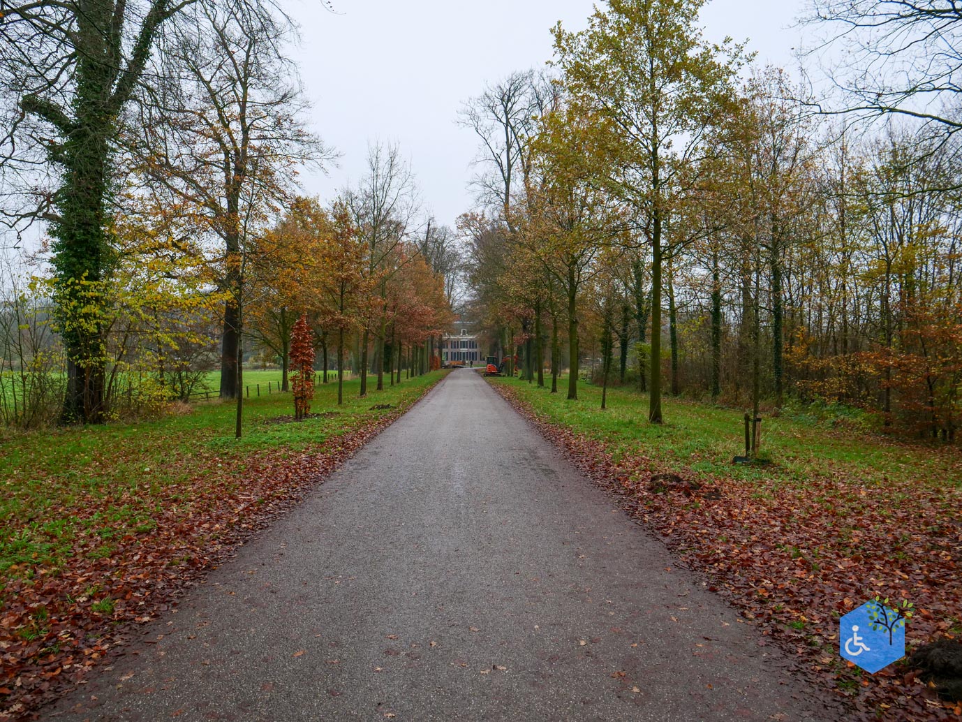Bunnik_Bomenwandeling_Amelisweerd_28-11-2025-04