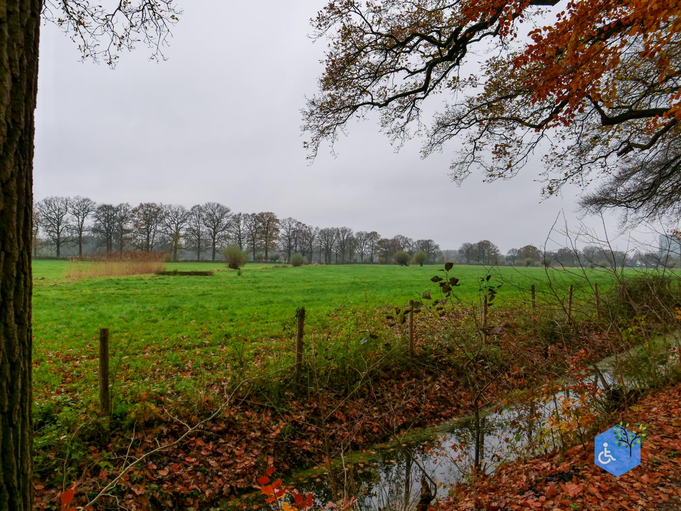 Bunnik_Bomenwandeling_Amelisweerd_28-11-2025-13