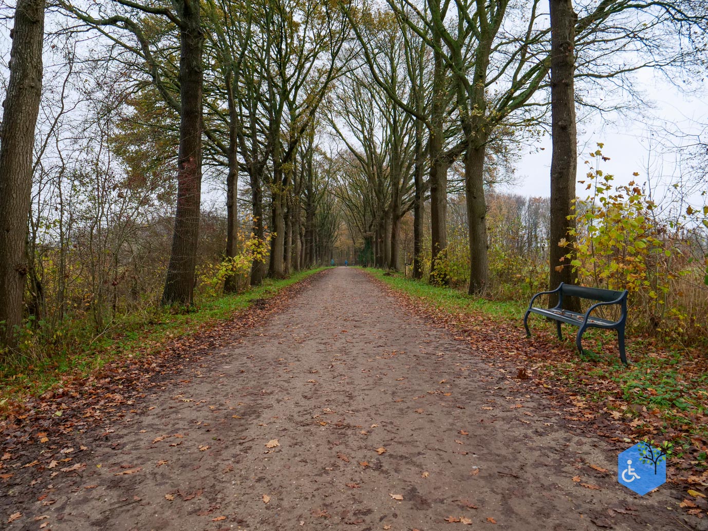 Bunnik_Bomenwandeling_Amelisweerd_28-11-2025-19