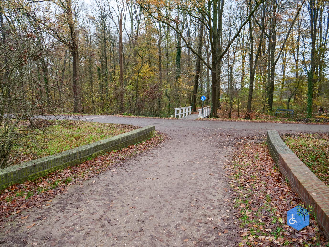 Bunnik_Bomenwandeling_Amelisweerd_28-11-2025-21