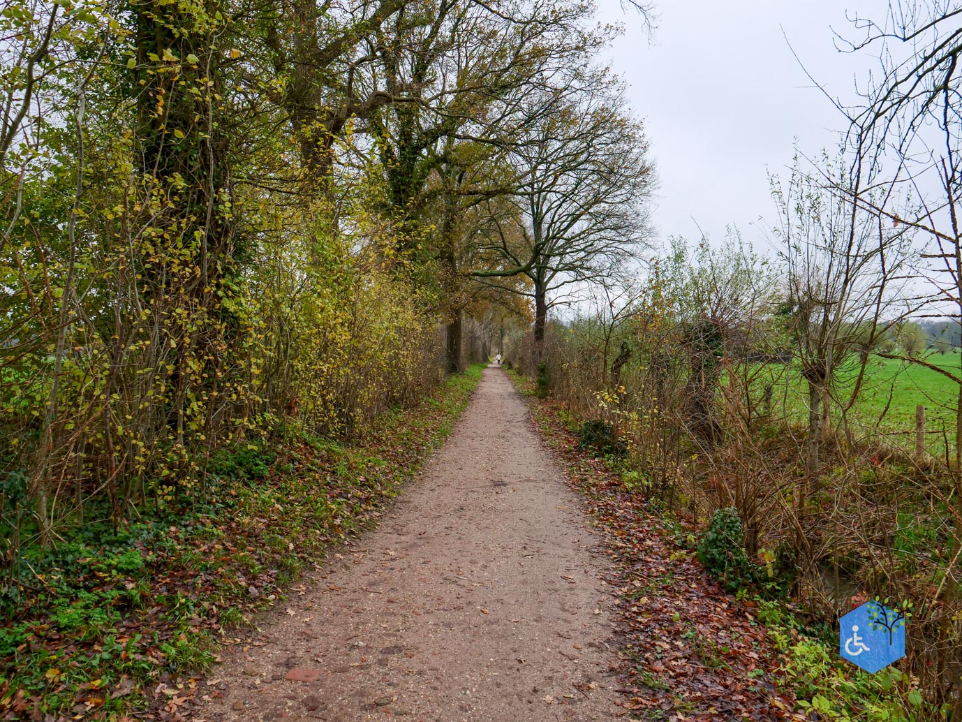 Bunnik_Bomenwandeling_Amelisweerd_28-11-2025-30