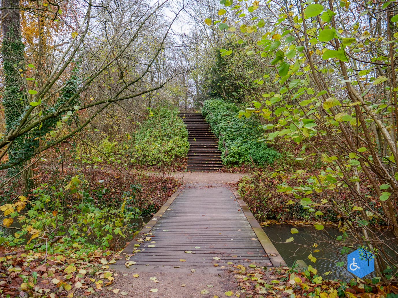 Bunnik_Bomenwandeling_Amelisweerd_28-11-2025-37