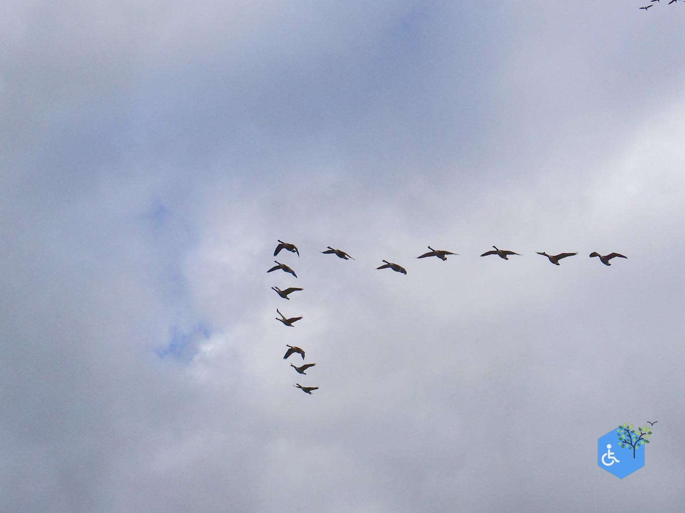 Knokke-Heist_Zwin_Natuurpark_24-10-2025-12