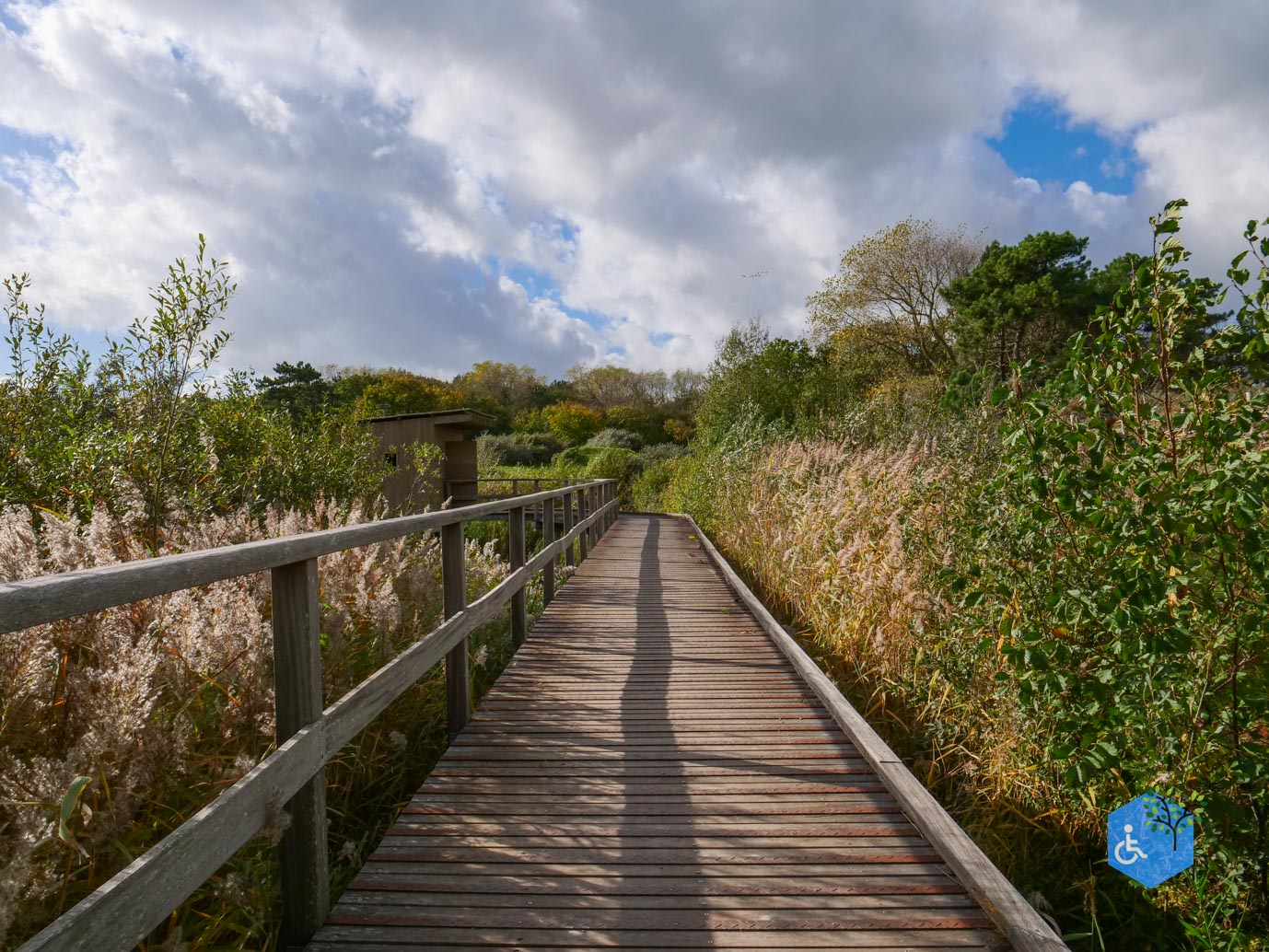 Knokke-Heist_Zwin_Natuurpark_24-10-2025-36