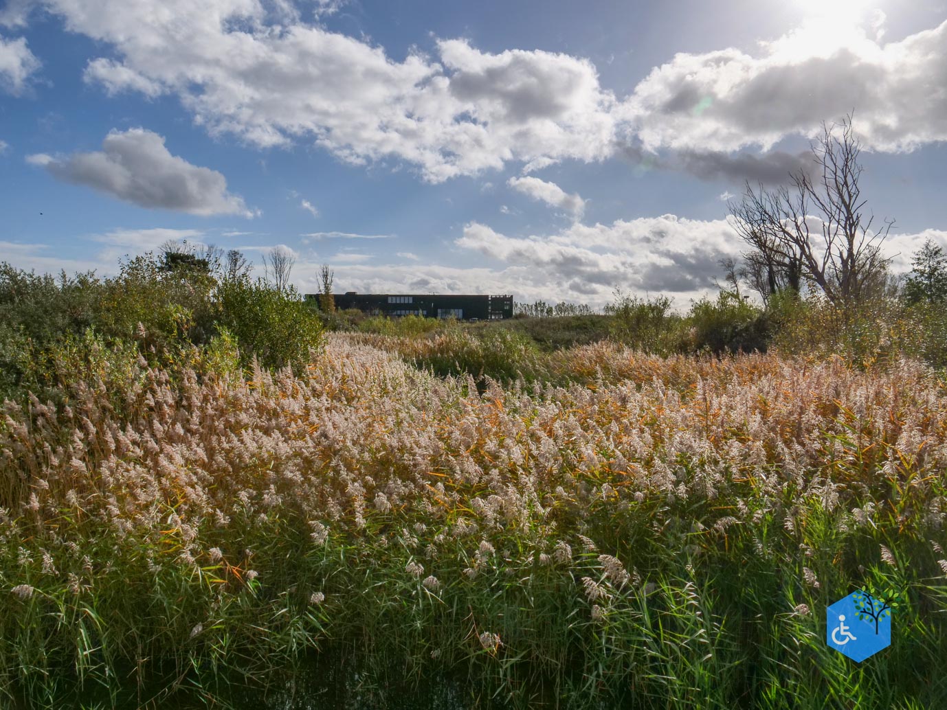 Knokke-Heist_Zwin_Natuurpark_24-10-2025-39