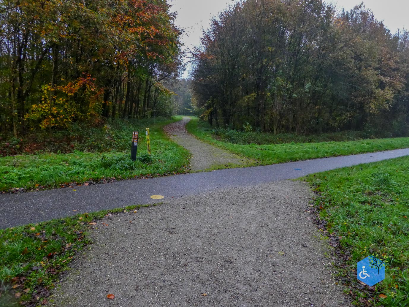 Utrecht_Ommetje_Gagelbos_14-11-2025-19