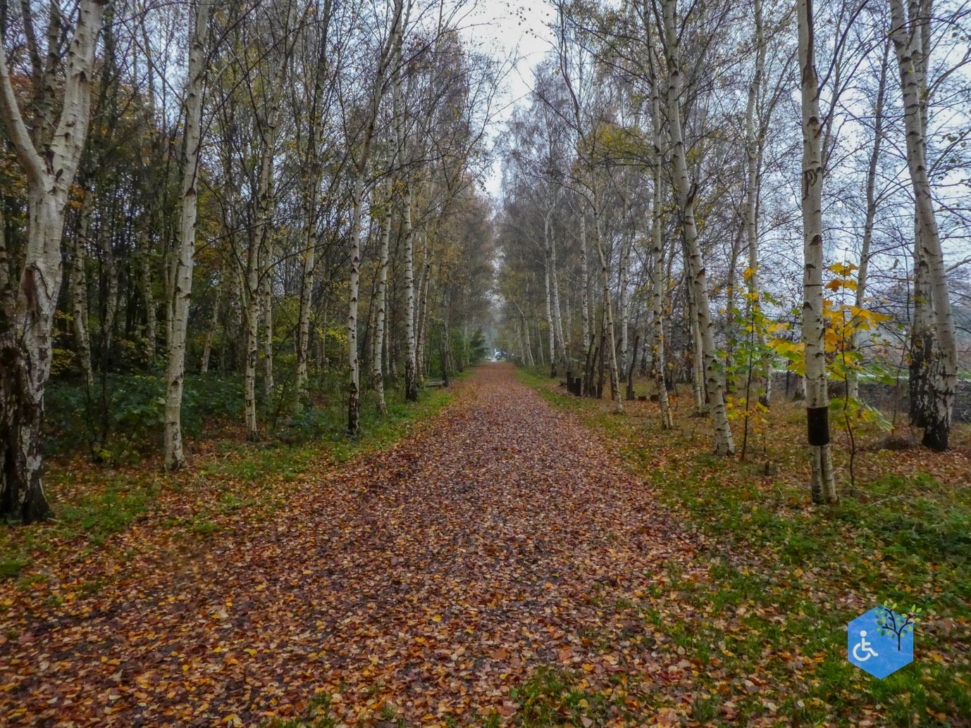 Utrecht_Ommetje_Gagelbos_14-11-2025-29