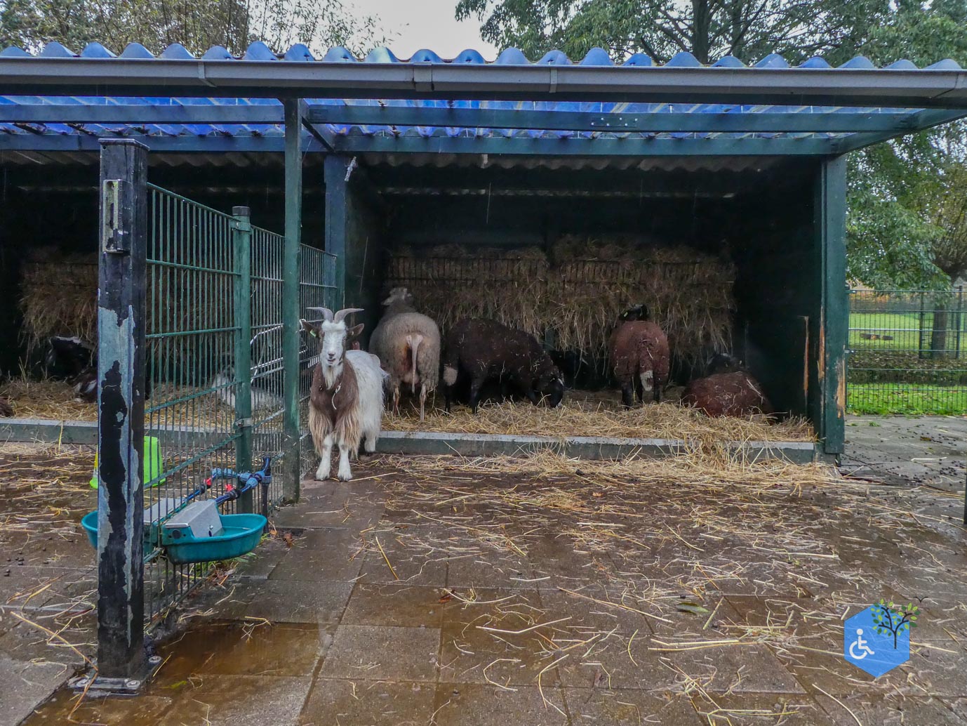 Utrecht_Stadsboerderij_Gagelsteede_14-11-2025-06