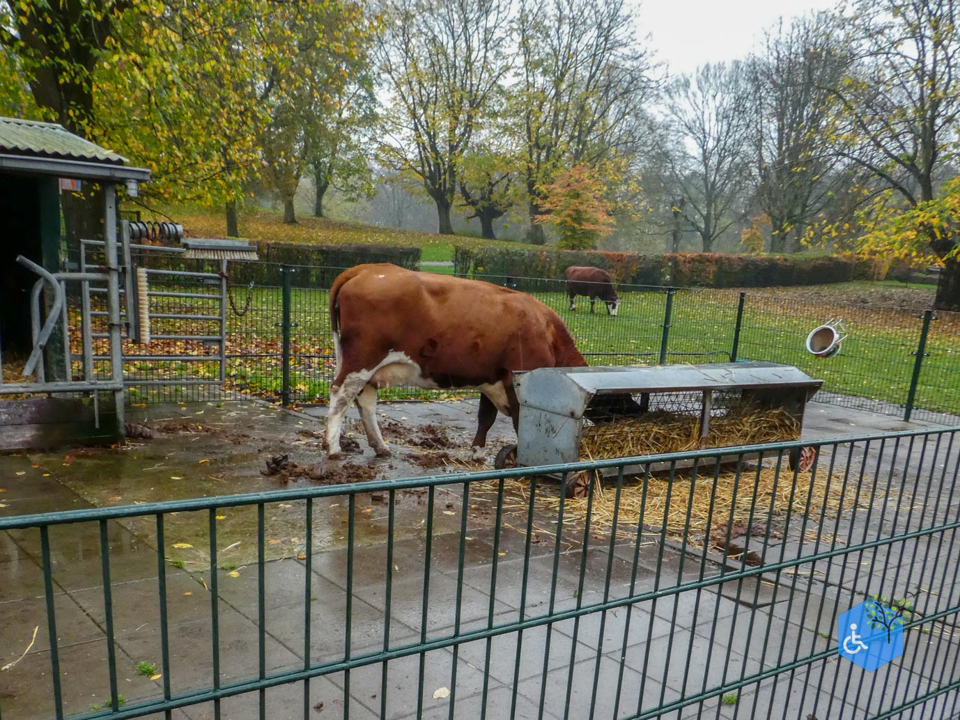 Utrecht_Stadsboerderij_Gagelsteede_14-11-2025-11