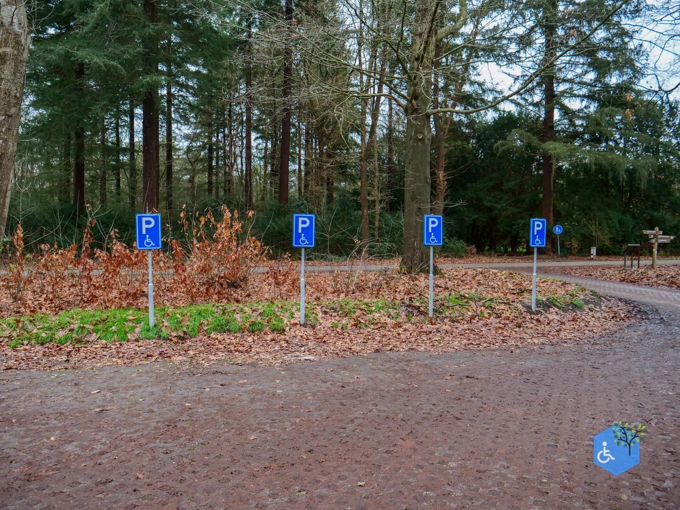 Echten_Familiepad_Ruinen_07-12-2025-01