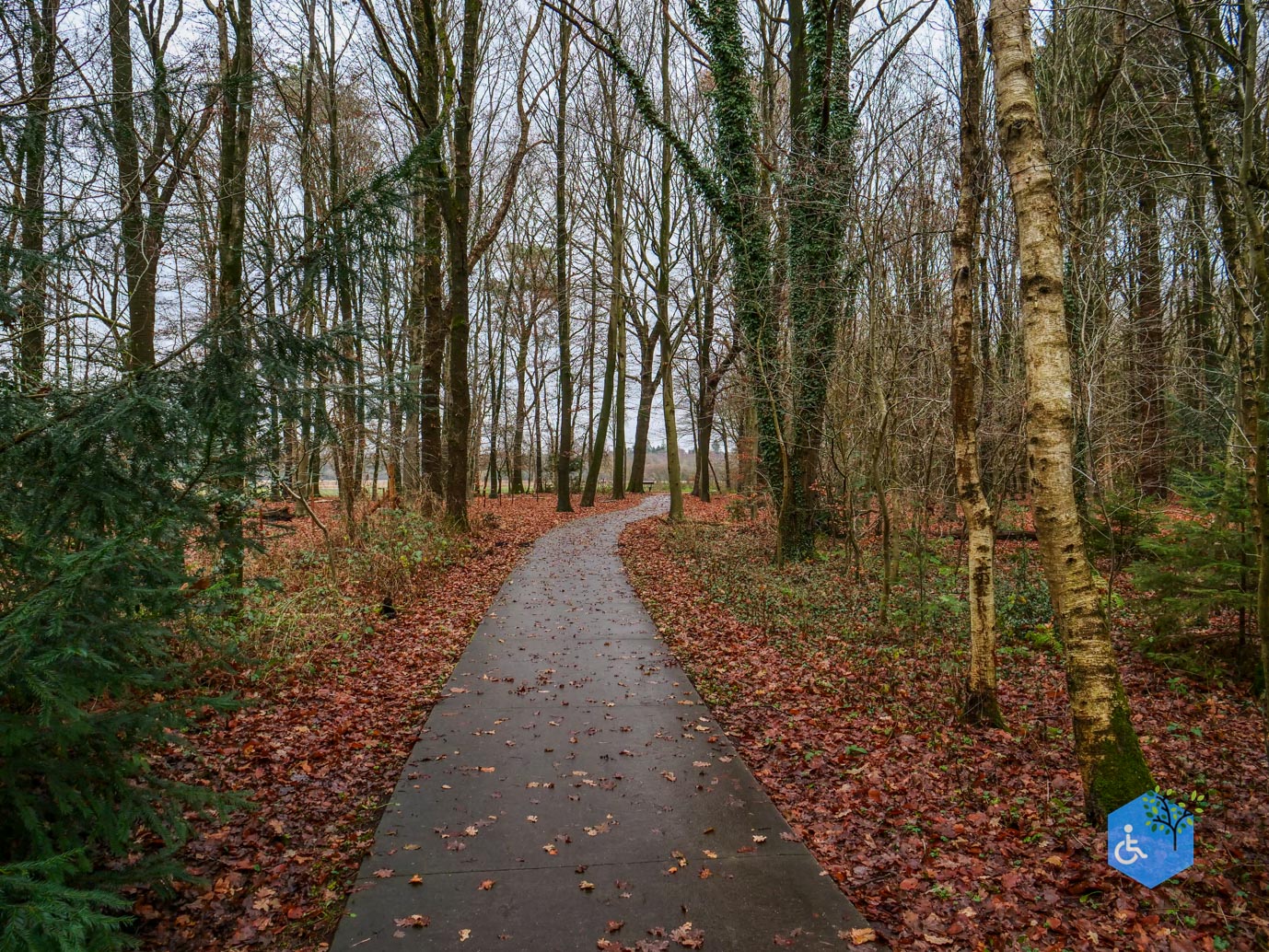 Echten_Familiepad_Ruinen_07-12-2025-06