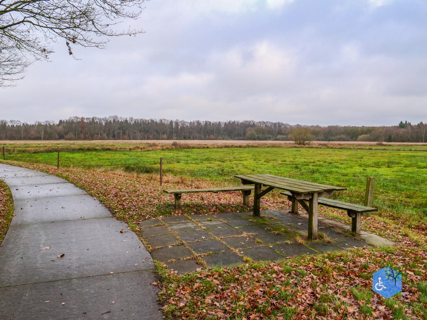 Echten_Familiepad_Ruinen_07-12-2025-11