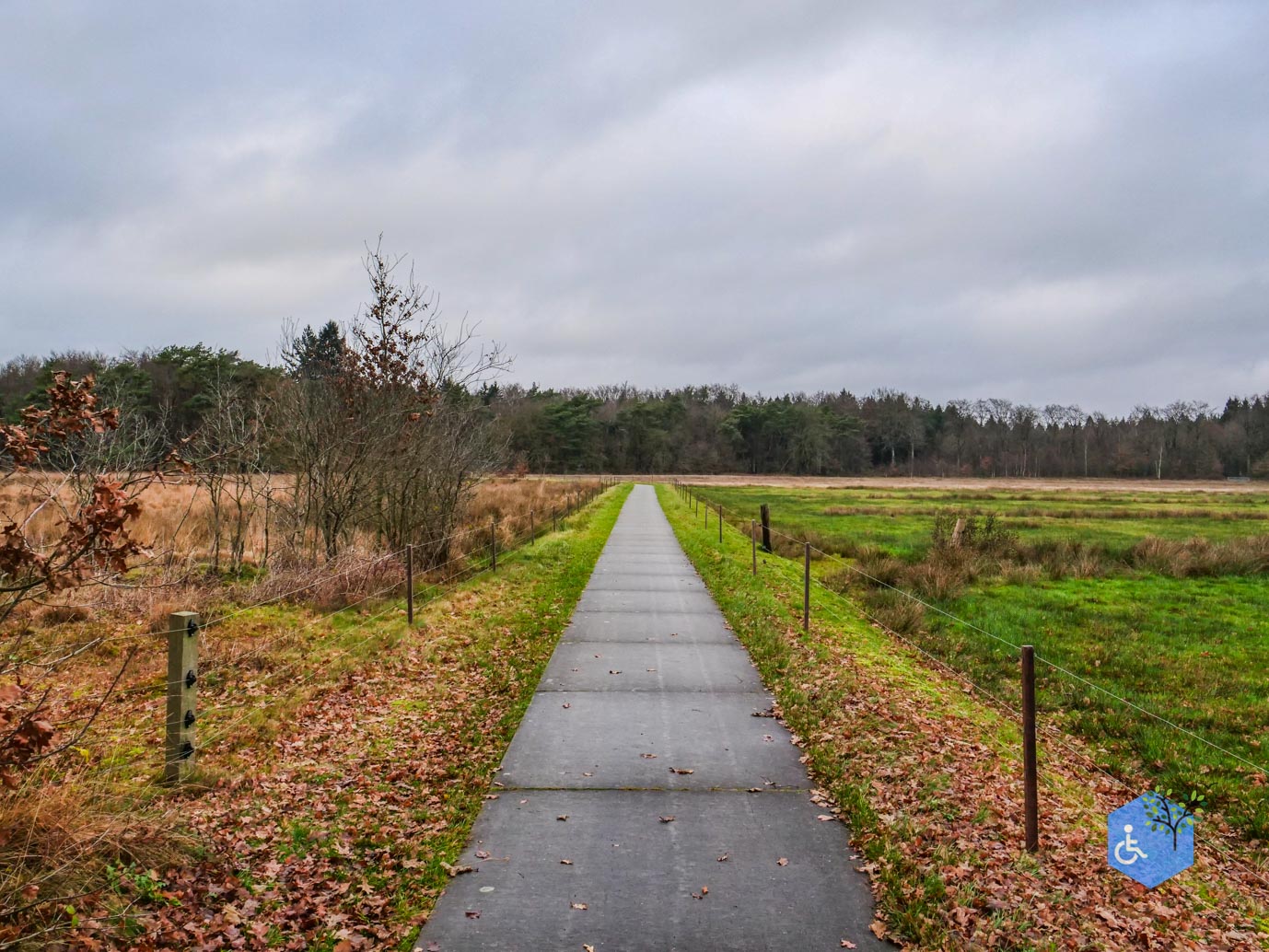 Echten_Familiepad_Ruinen_07-12-2025-12