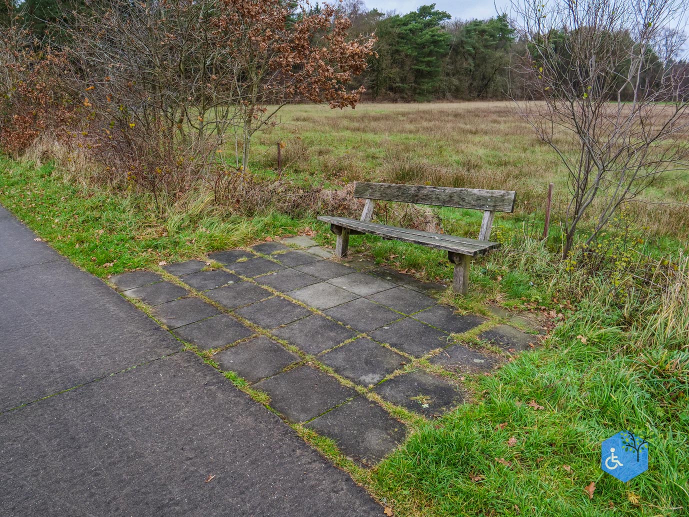 Echten_Familiepad_Ruinen_07-12-2025-16