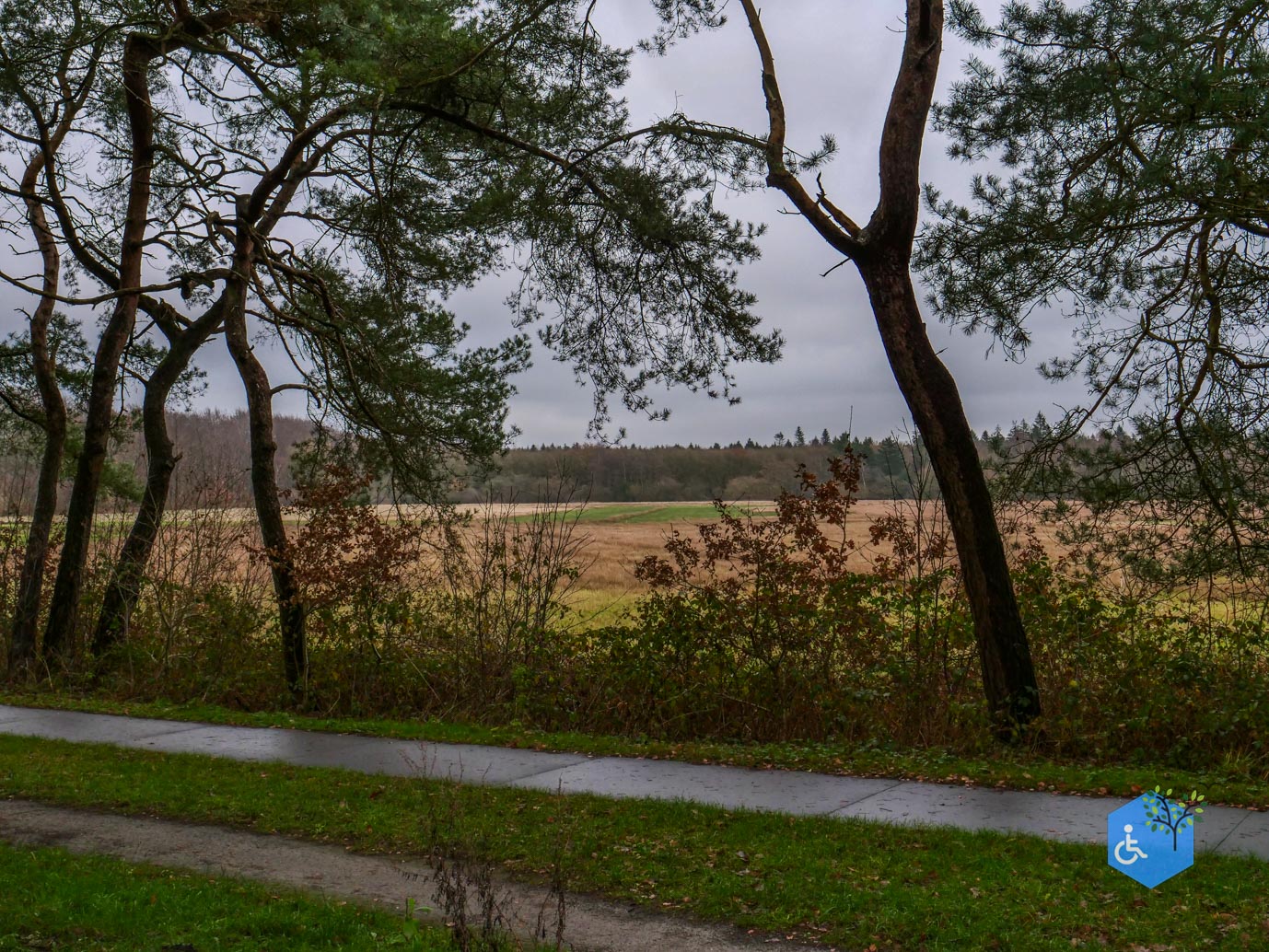 Echten_Familiepad_Ruinen_07-12-2025-20