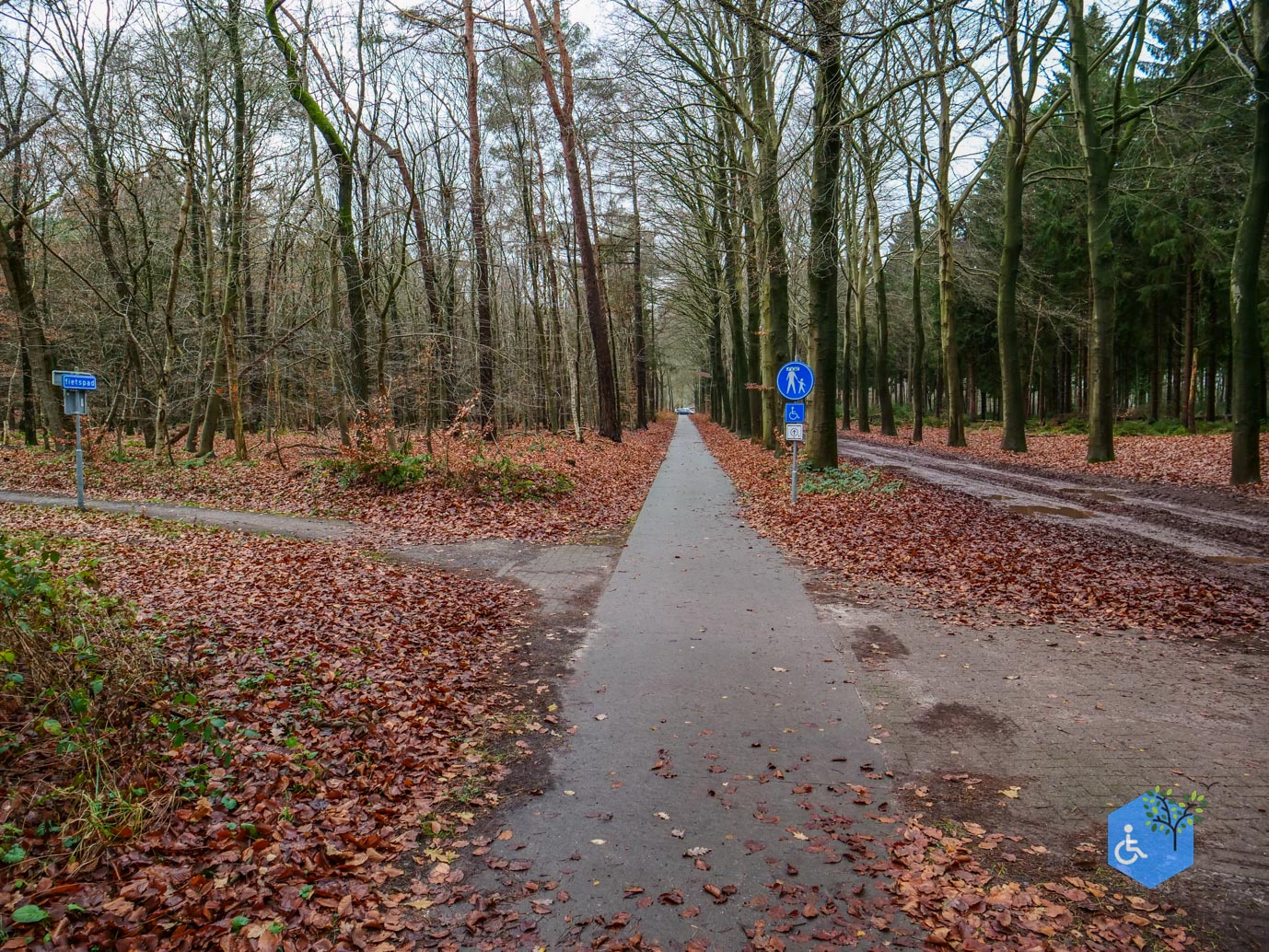 Echten_Familiepad_Ruinen_07-12-2025-21