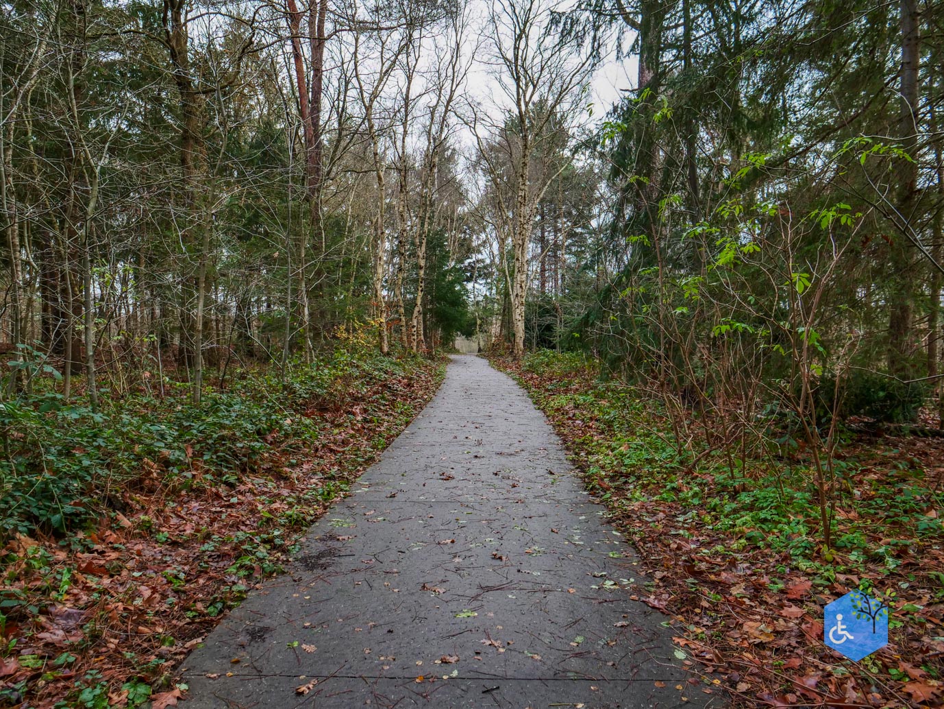 Echten_Familiepad_Ruinen_07-12-2025-26