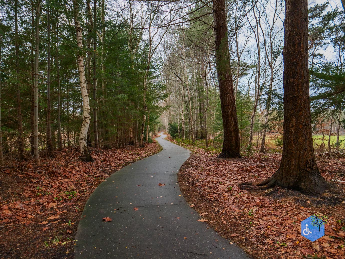 Echten_Familiepad_Ruinen_07-12-2025-28