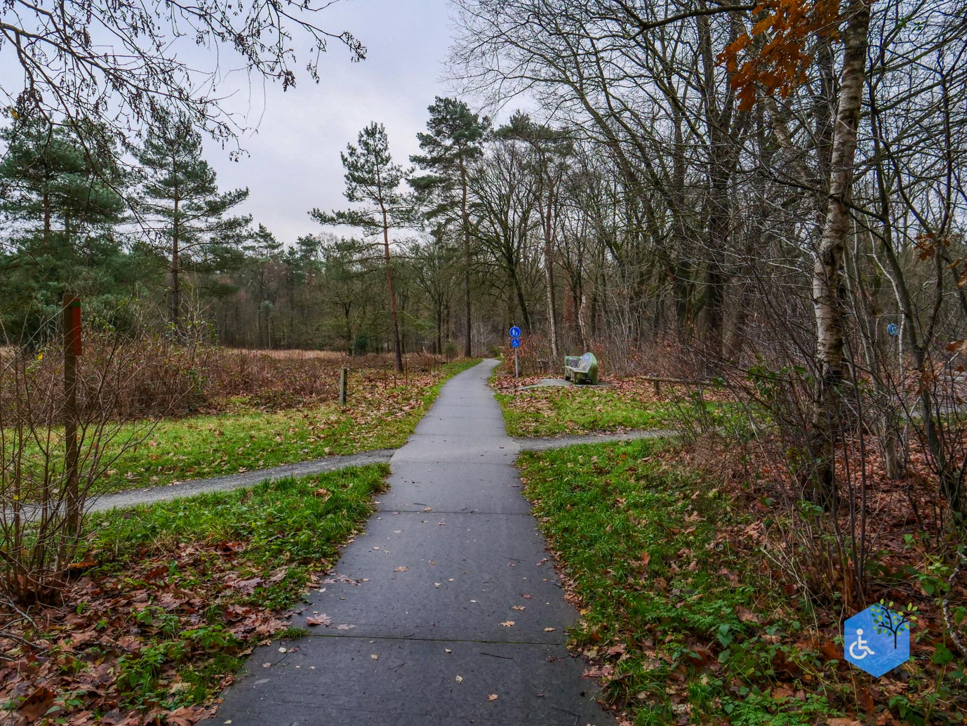 Echten_Familiepad_Ruinen_07-12-2025-31