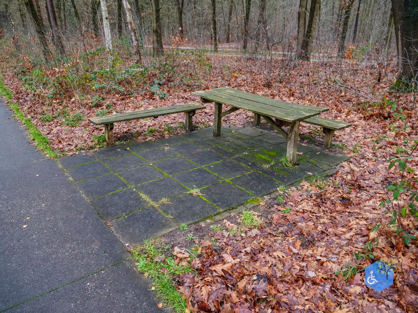 Echten_Familiepad_Ruinen_07-12-2025-34