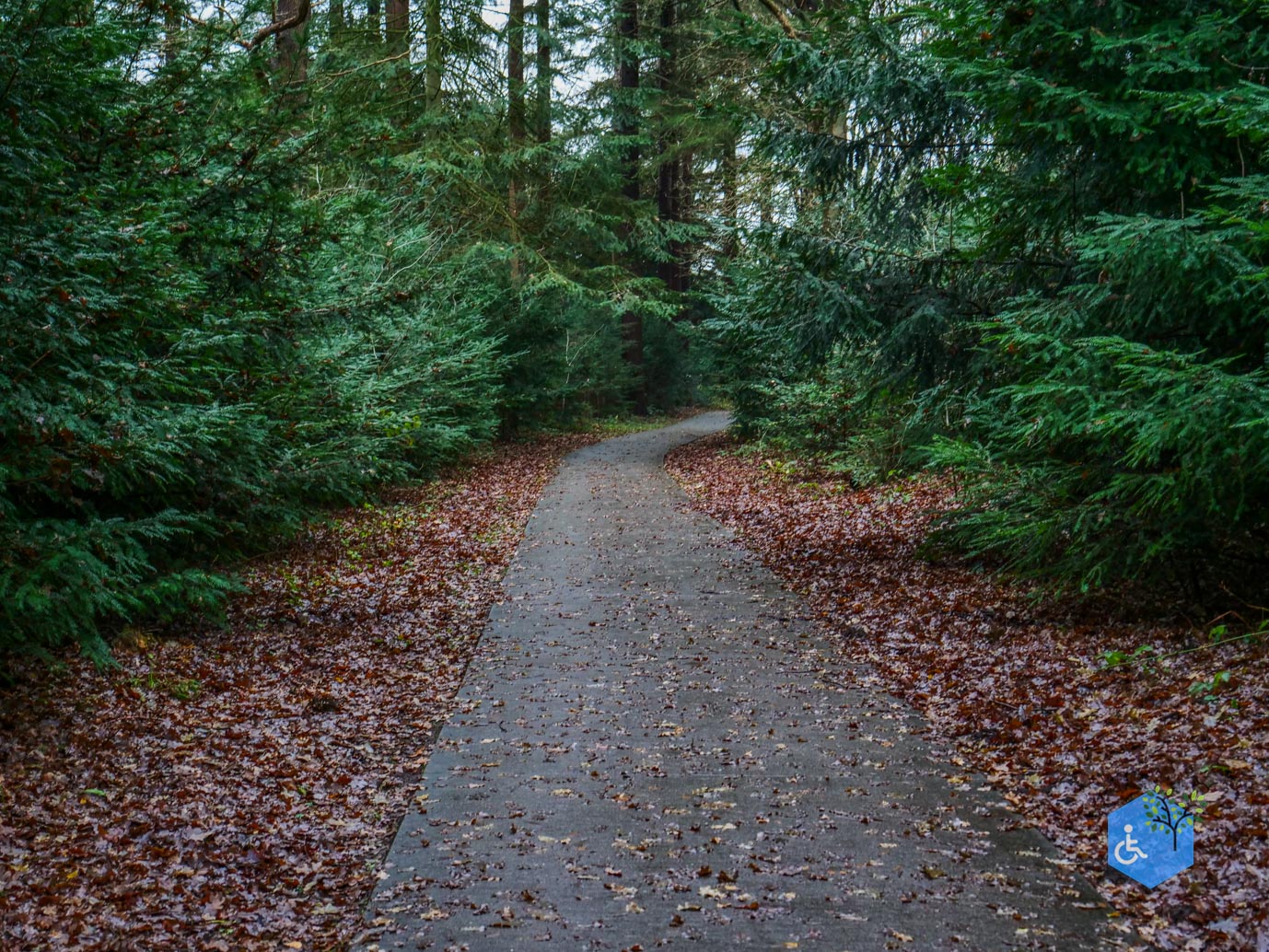 Echten_Familiepad_Ruinen_07-12-2025-36