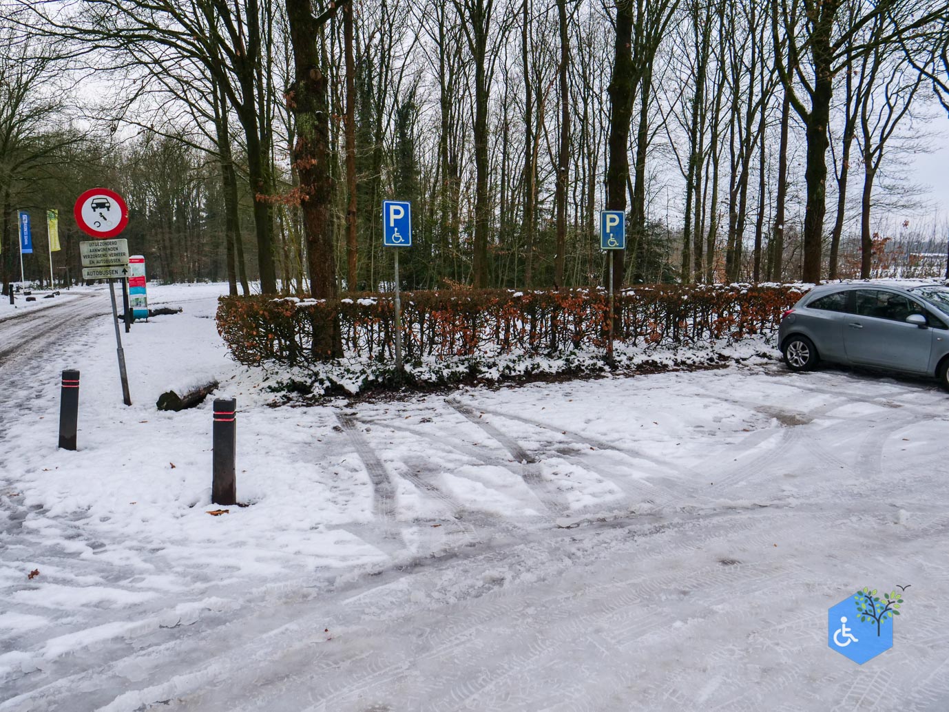 Baarn_Groeneveld_08-01-2025-01