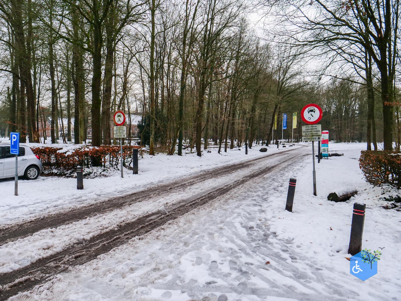 Baarn_Groeneveld_08-01-2025-02