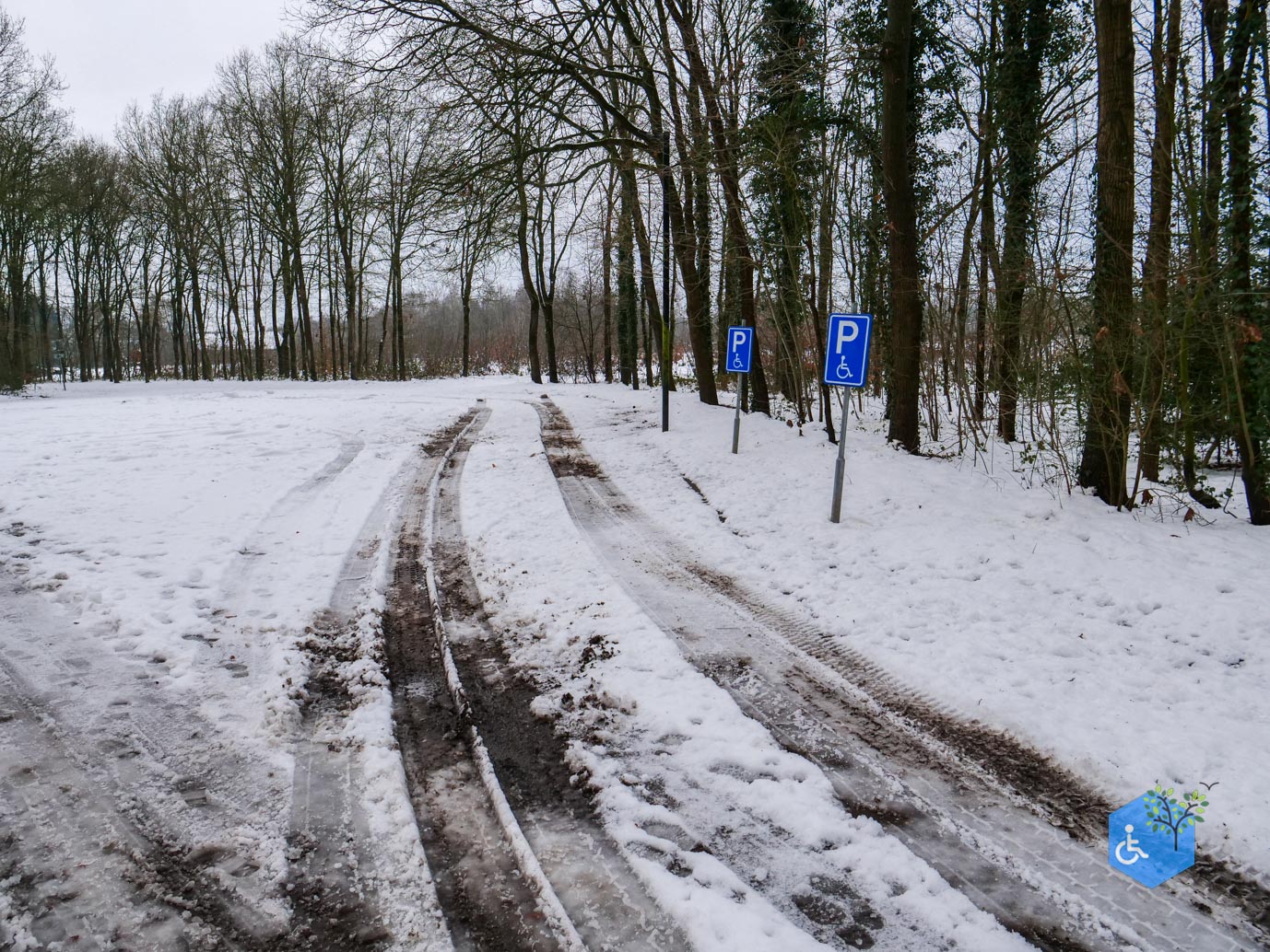 Baarn_Groeneveld_08-01-2025-03